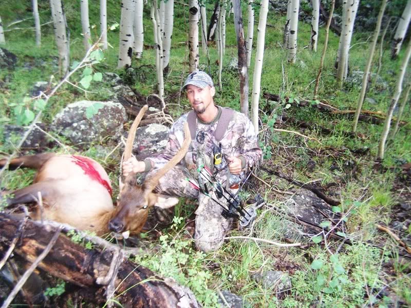 2011 spike elk Utah Wildlife Forum